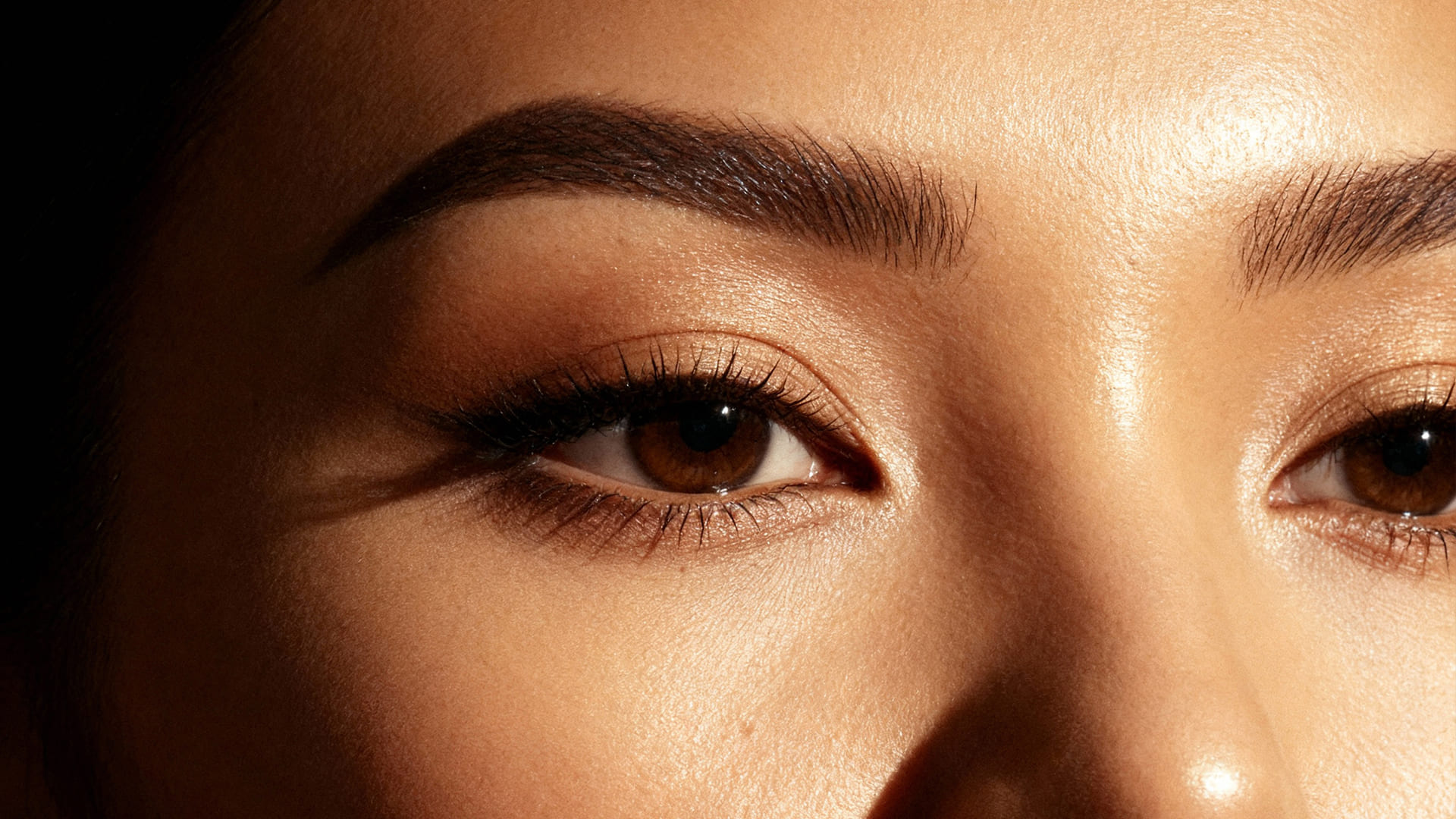 dermacol apicación gel para cejas