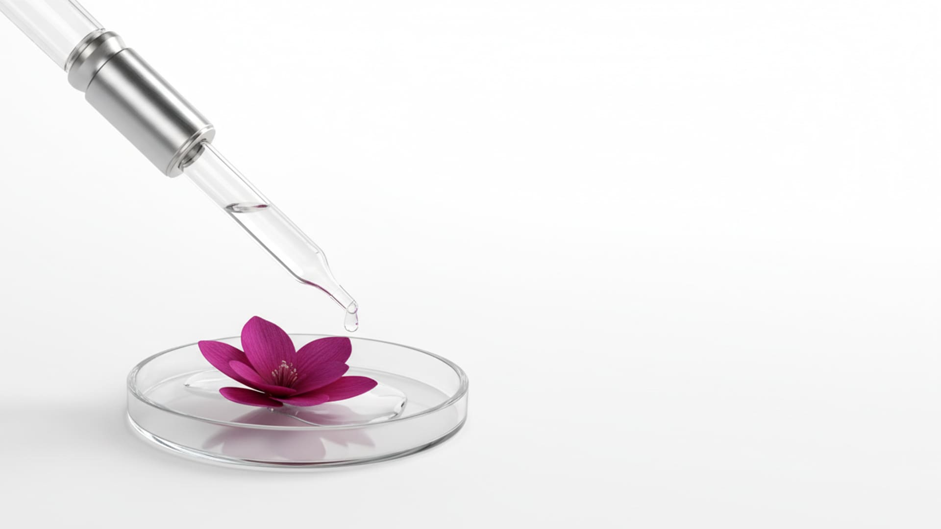 ingredientes naturales